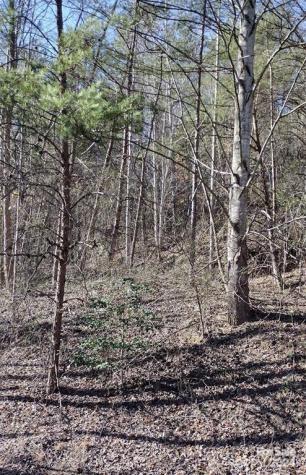 Lot 30 Laurel Valley Drive Marion NC 28752