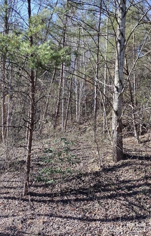 Lot 30 Laurel Valley Drive Marion NC 28752