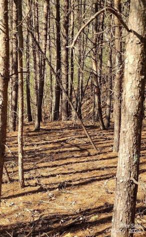 Lot 30 Laurel Valley Drive Marion NC 28752