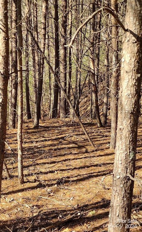 Lot 30 Laurel Valley Drive Marion NC 28752
