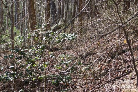 Lot 30 Laurel Valley Drive Marion NC 28752
