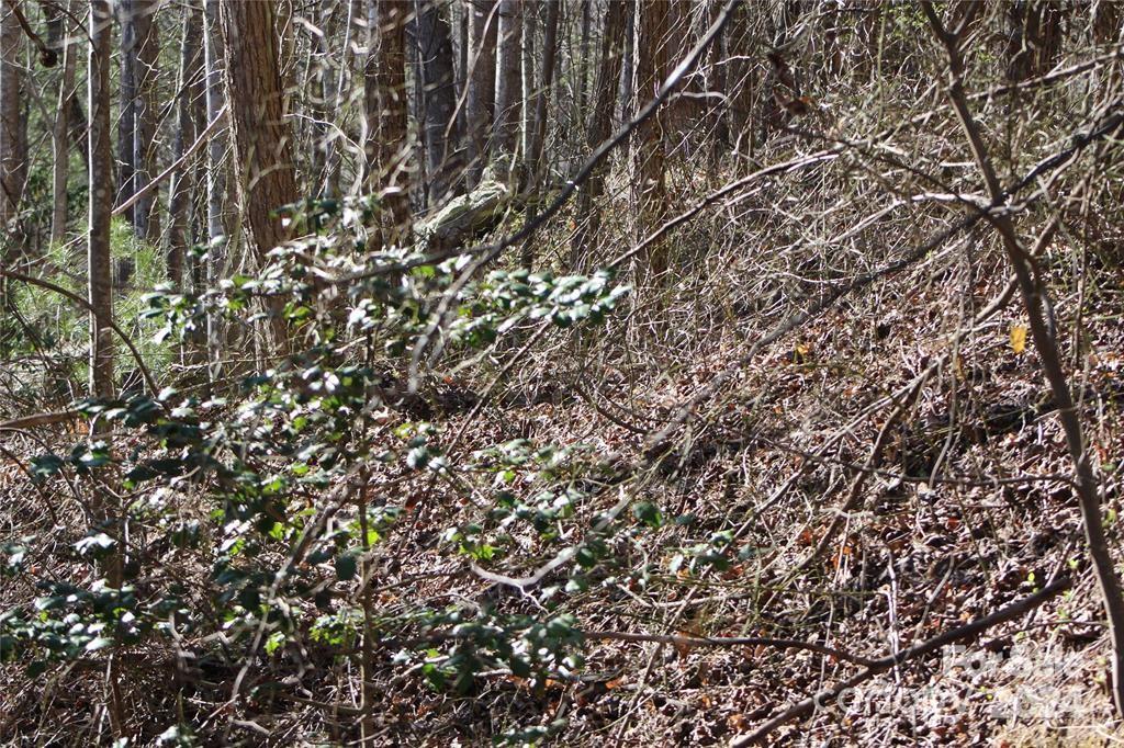 Lot 30 Laurel Valley Drive Marion NC 28752