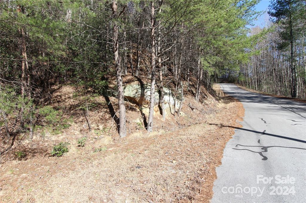 Lot 30 Laurel Valley Drive Marion NC 28752