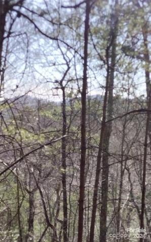 Lot 30 Laurel Valley Drive Marion NC 28752