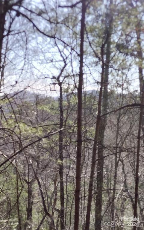 Lot 30 Laurel Valley Drive Marion NC 28752