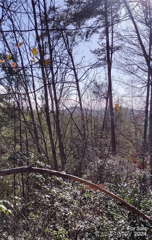 Lot 30 Laurel Valley Drive Marion NC 28752