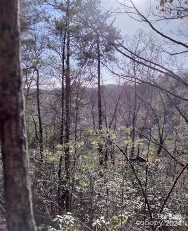 Lot 30 Laurel Valley Drive Marion NC 28752