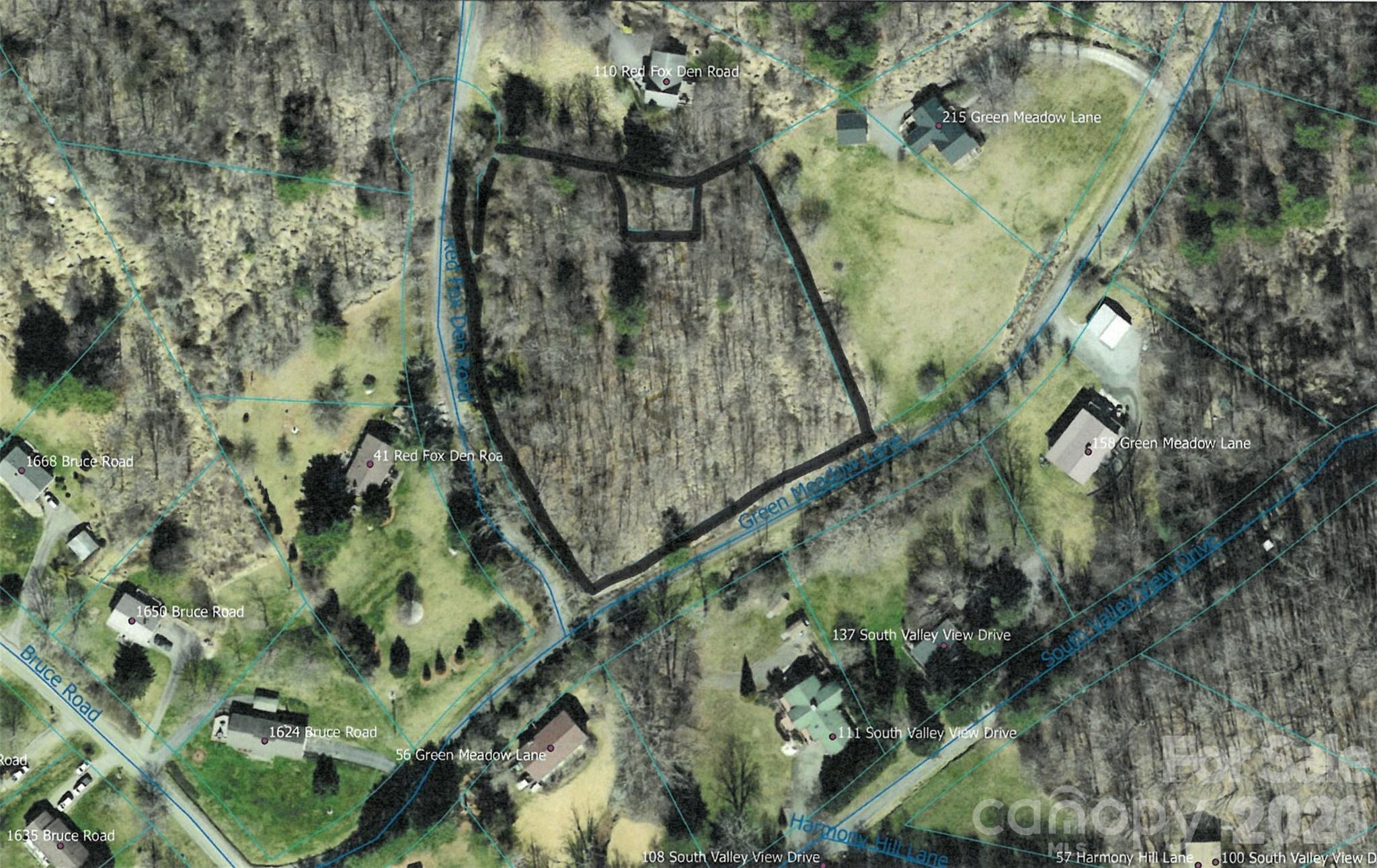 9999 Red Fox Den Road Mars Hill NC 28754