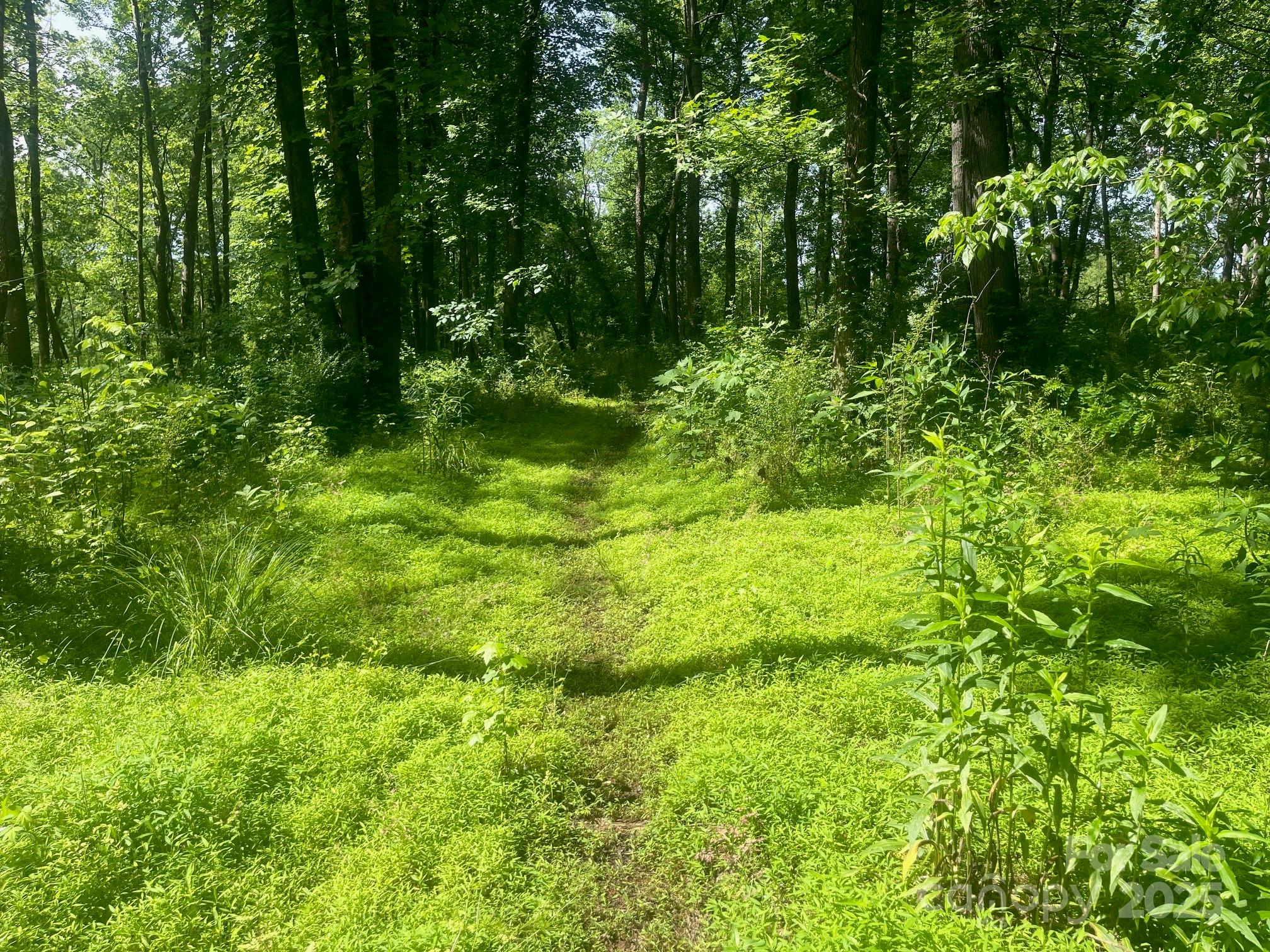 Lot 149 Lookout Dam Road Statesville NC 28625