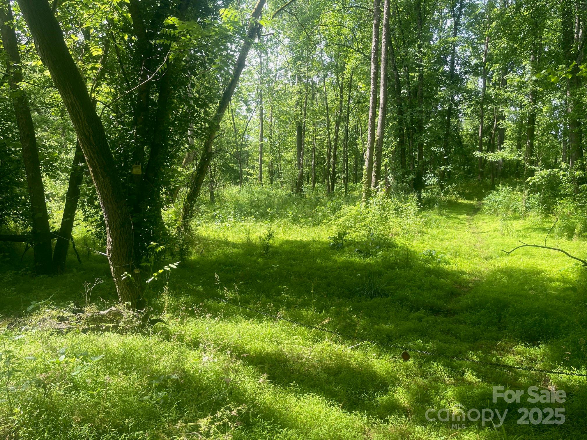 Lot 149 Lookout Dam Road Statesville NC 28625