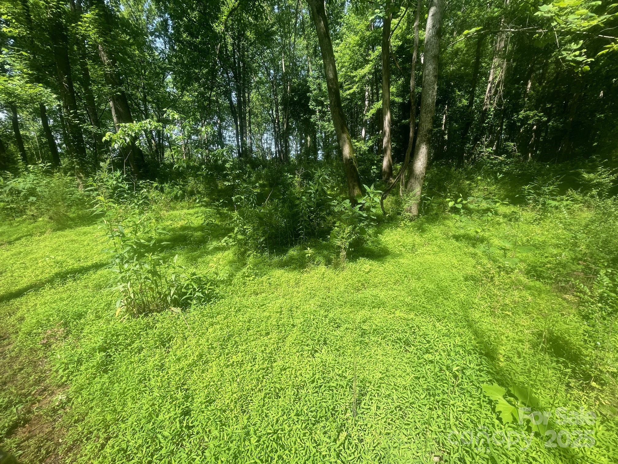 Lot 149 Lookout Dam Road Statesville NC 28625