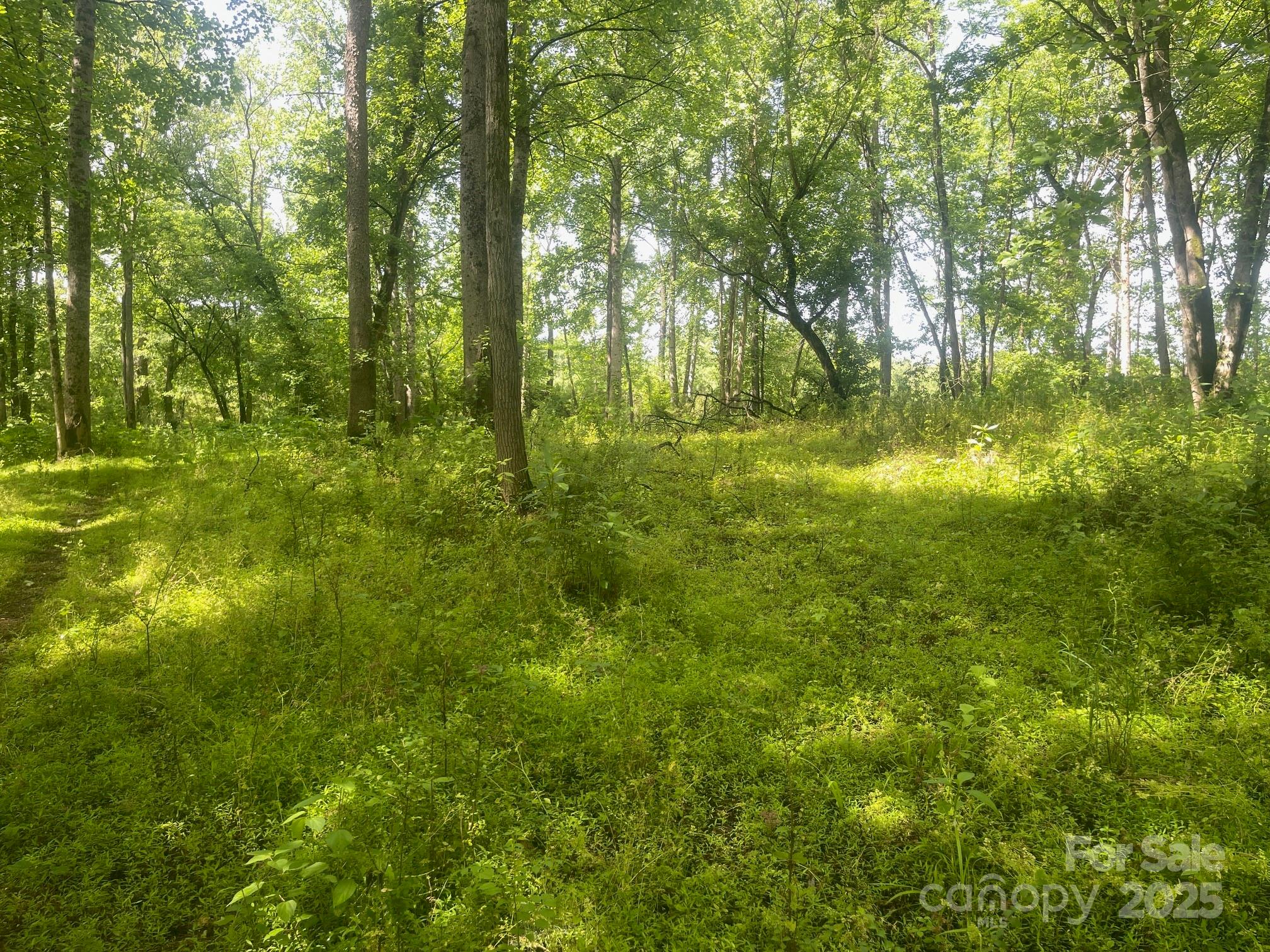Lot 149 Lookout Dam Road Statesville NC 28625