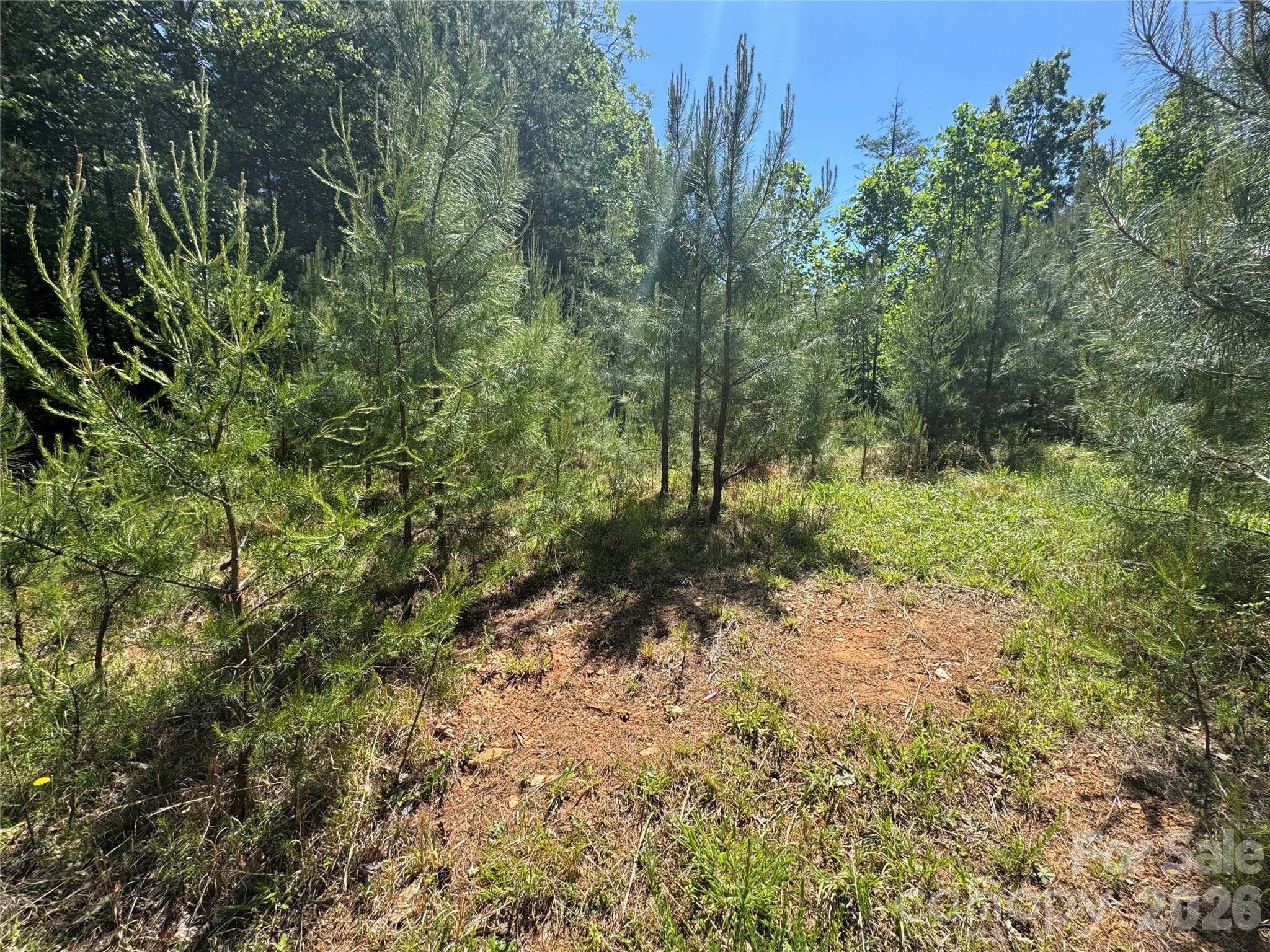 2 Lentz Landing Lane Nebo NC 28761