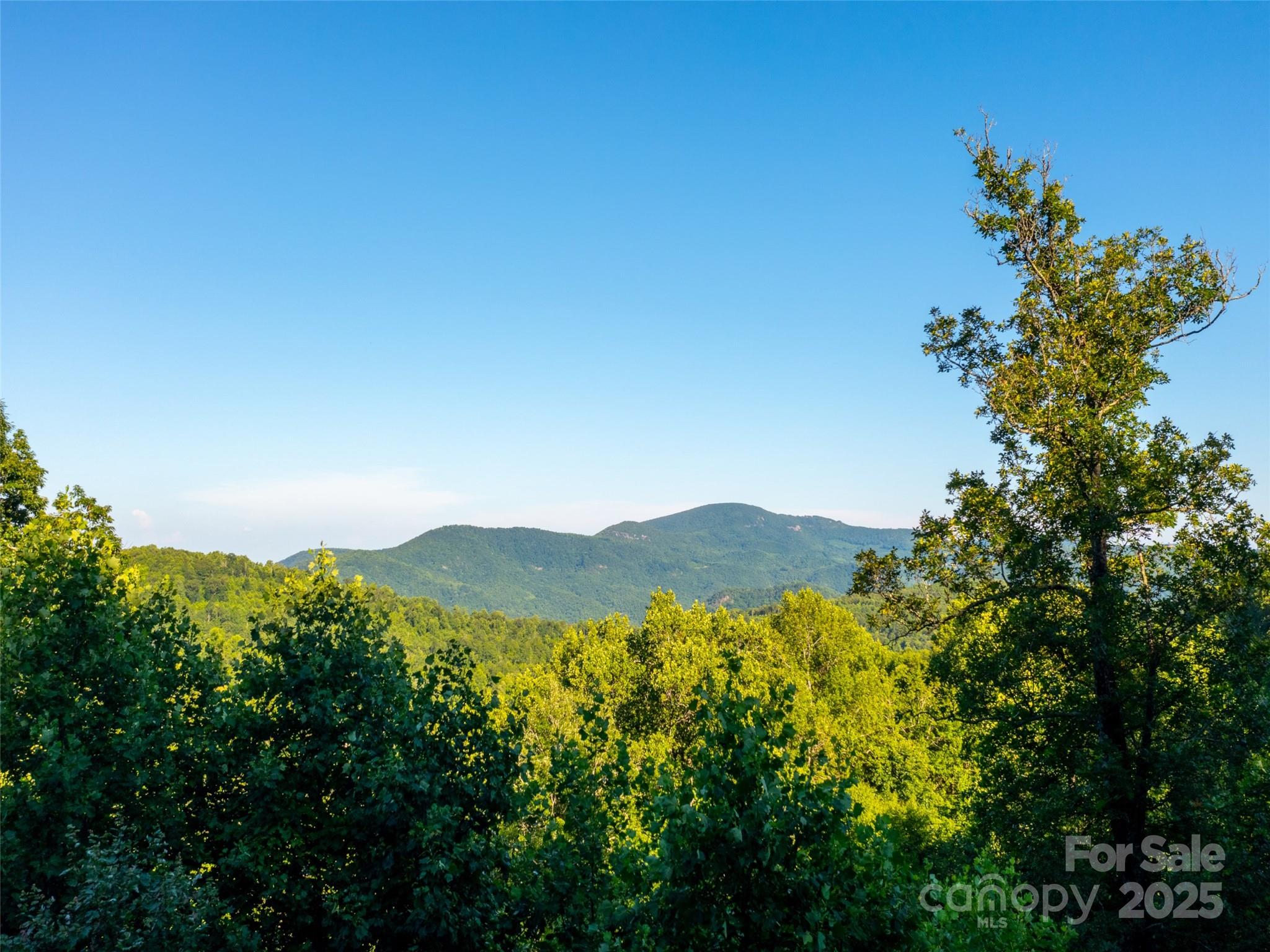 845 Grand Oaks Drive Hendersonville NC 28792