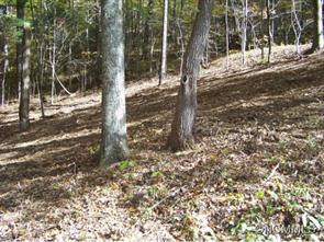 142 Rambling Ridge Road Asheville NC 28804