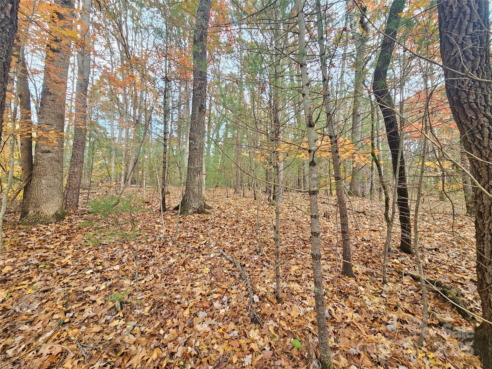 V/l Warlick Chapel Road Connelly Springs NC 28612