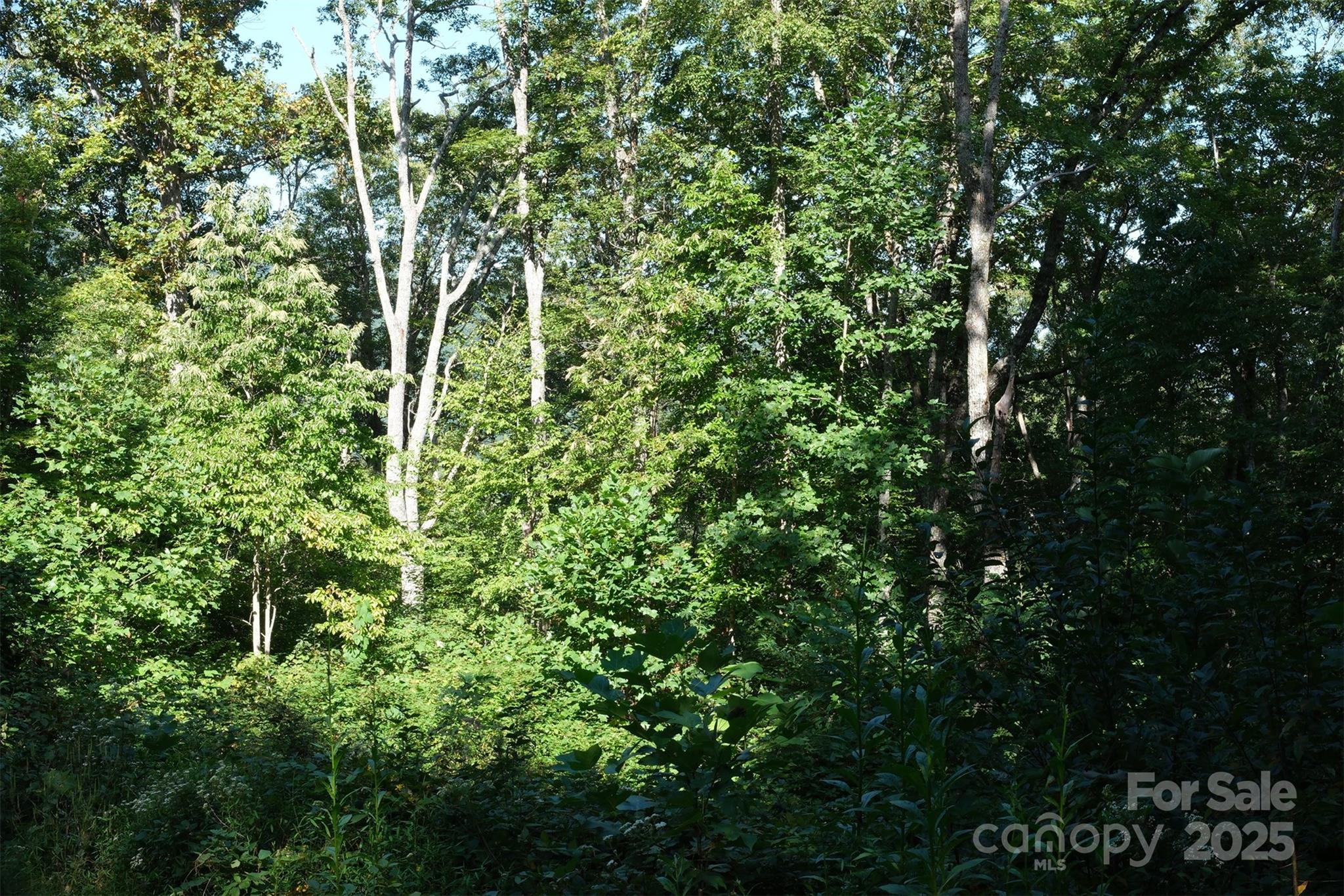 Lot: 12 Caperton Point Road Swannanoa NC 28778