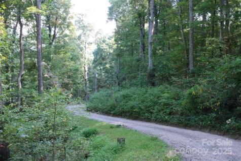 Lot: 12 Caperton Point Road Swannanoa NC 28778