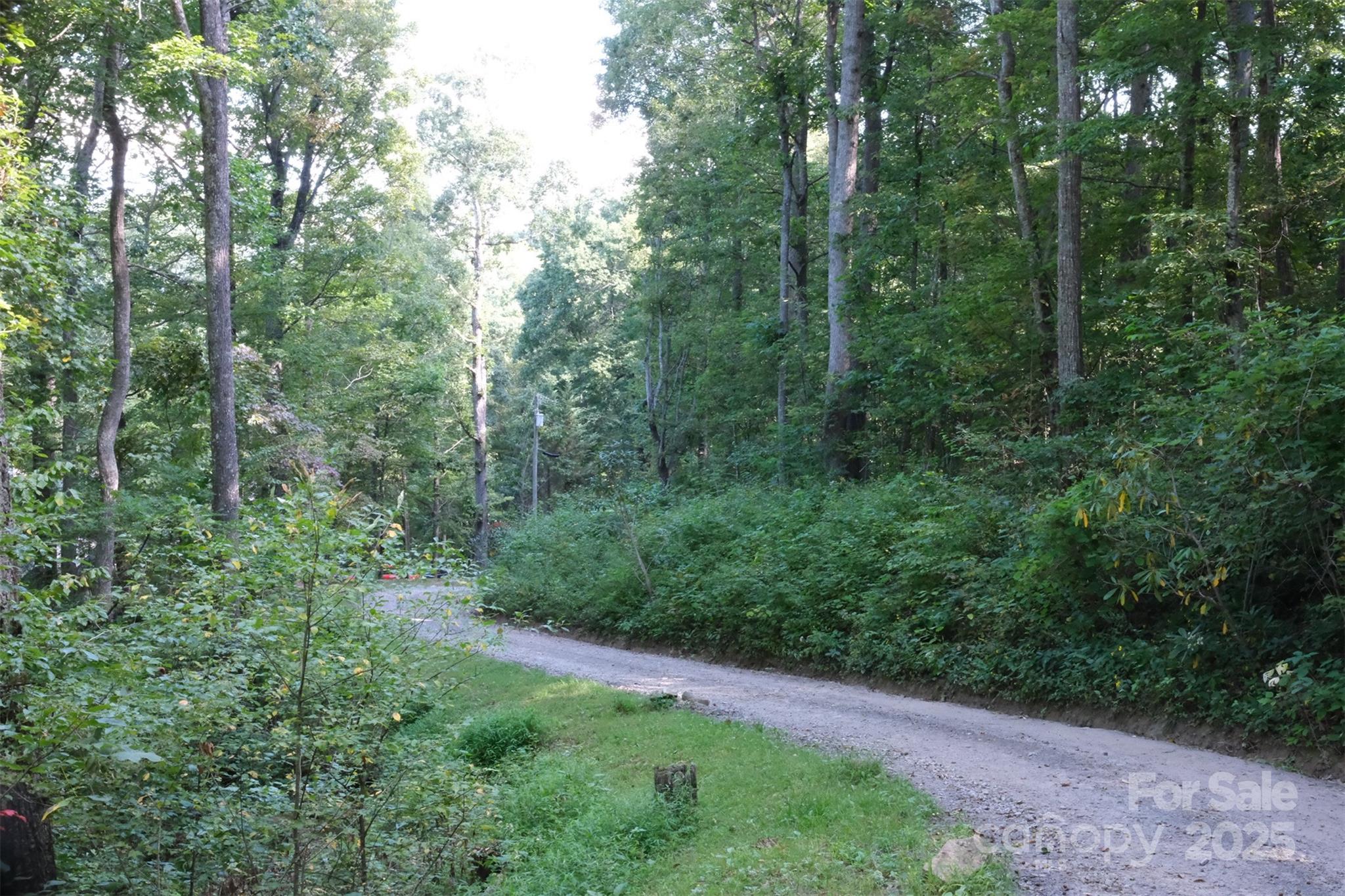 Lot: 12 Caperton Point Road Swannanoa NC 28778