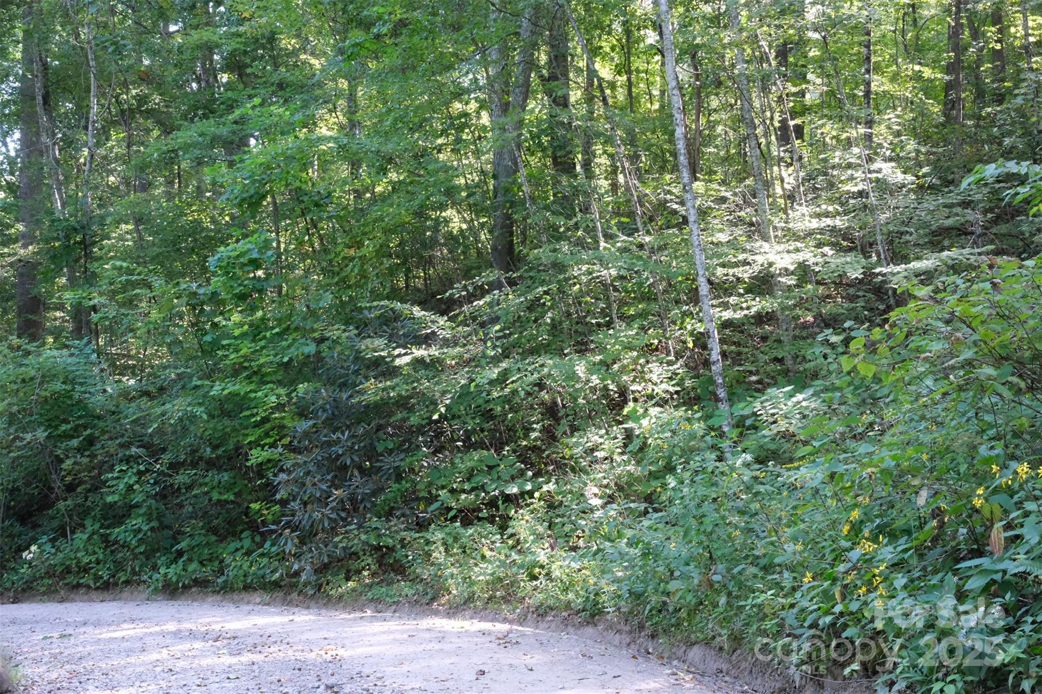 Lot: 12 Caperton Point Road Swannanoa NC 28778