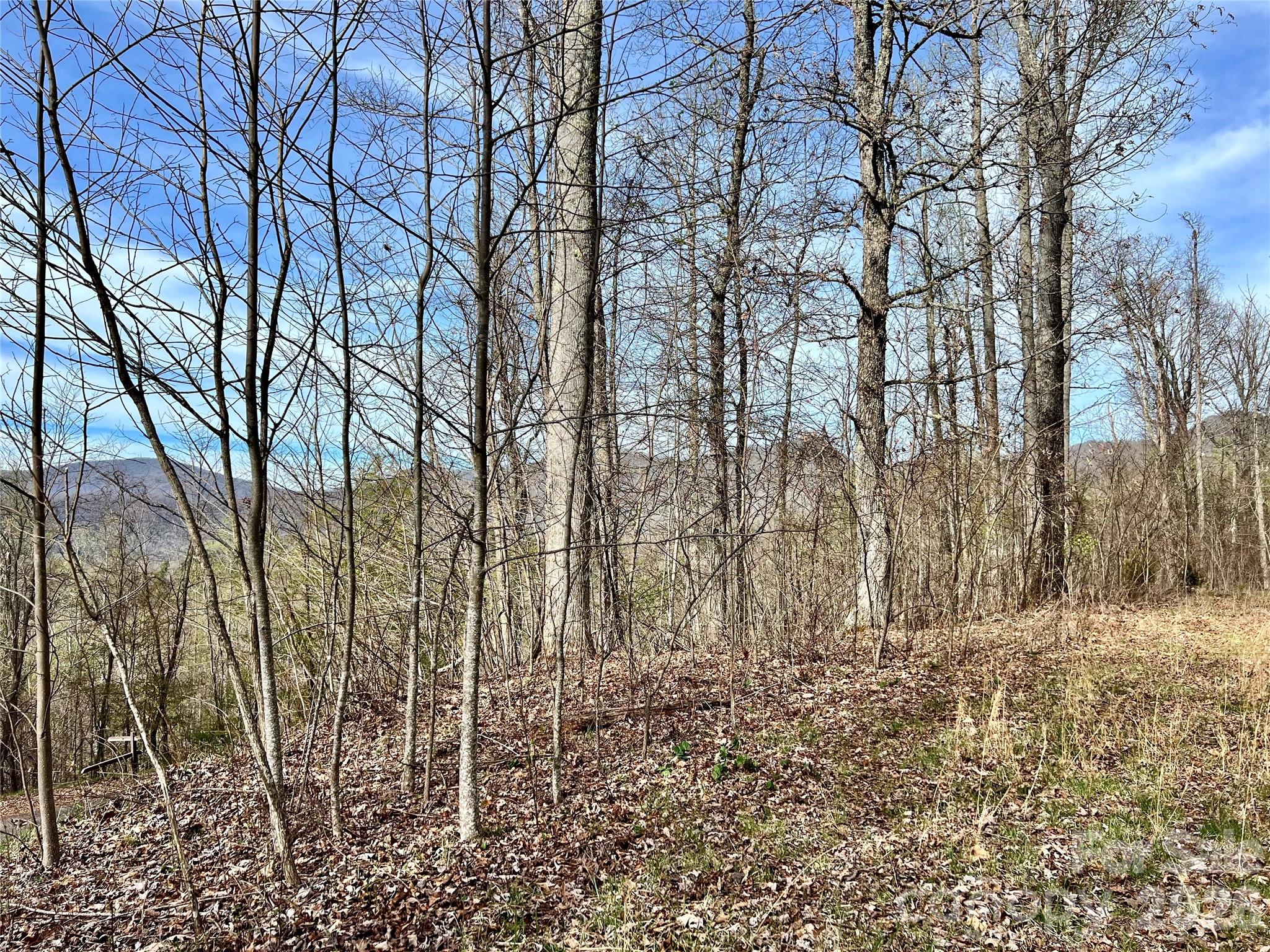 00 Lyle Mountain Trail Franklin NC 28734