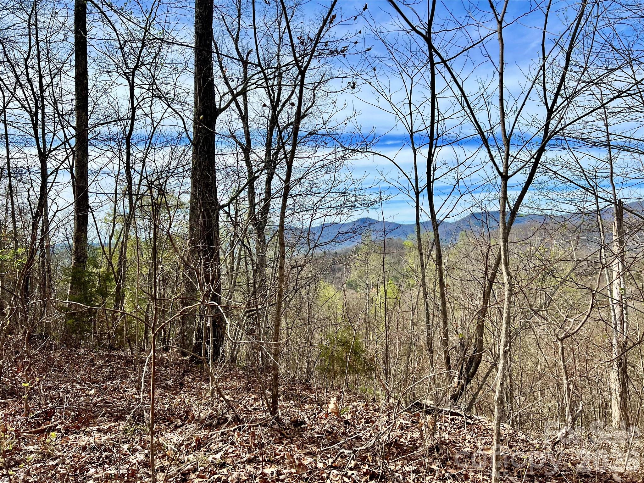 00 Lyle Mountain Trail Franklin NC 28734