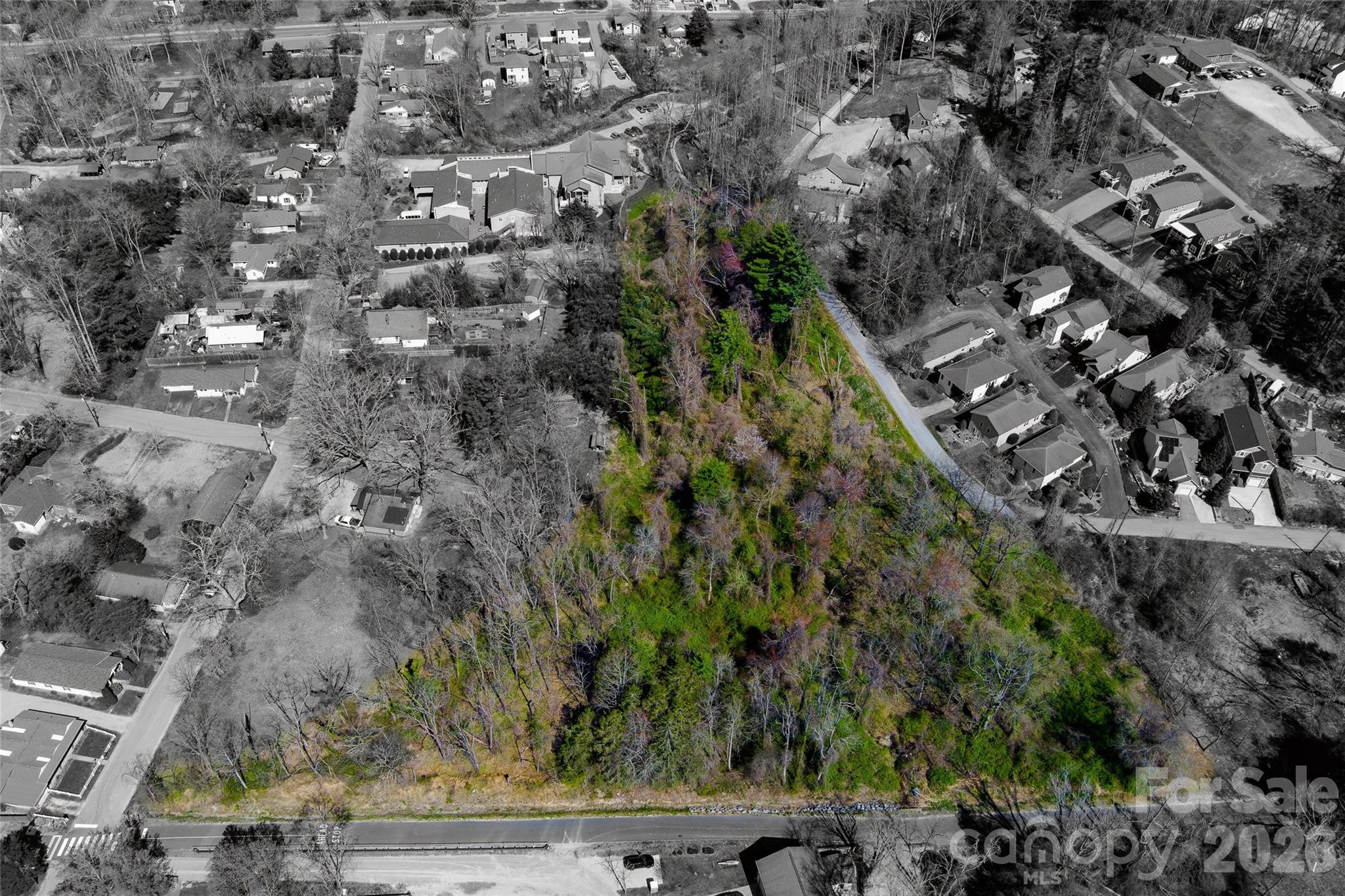 Tbd Toms Hill Drive Hendersonville NC 28792