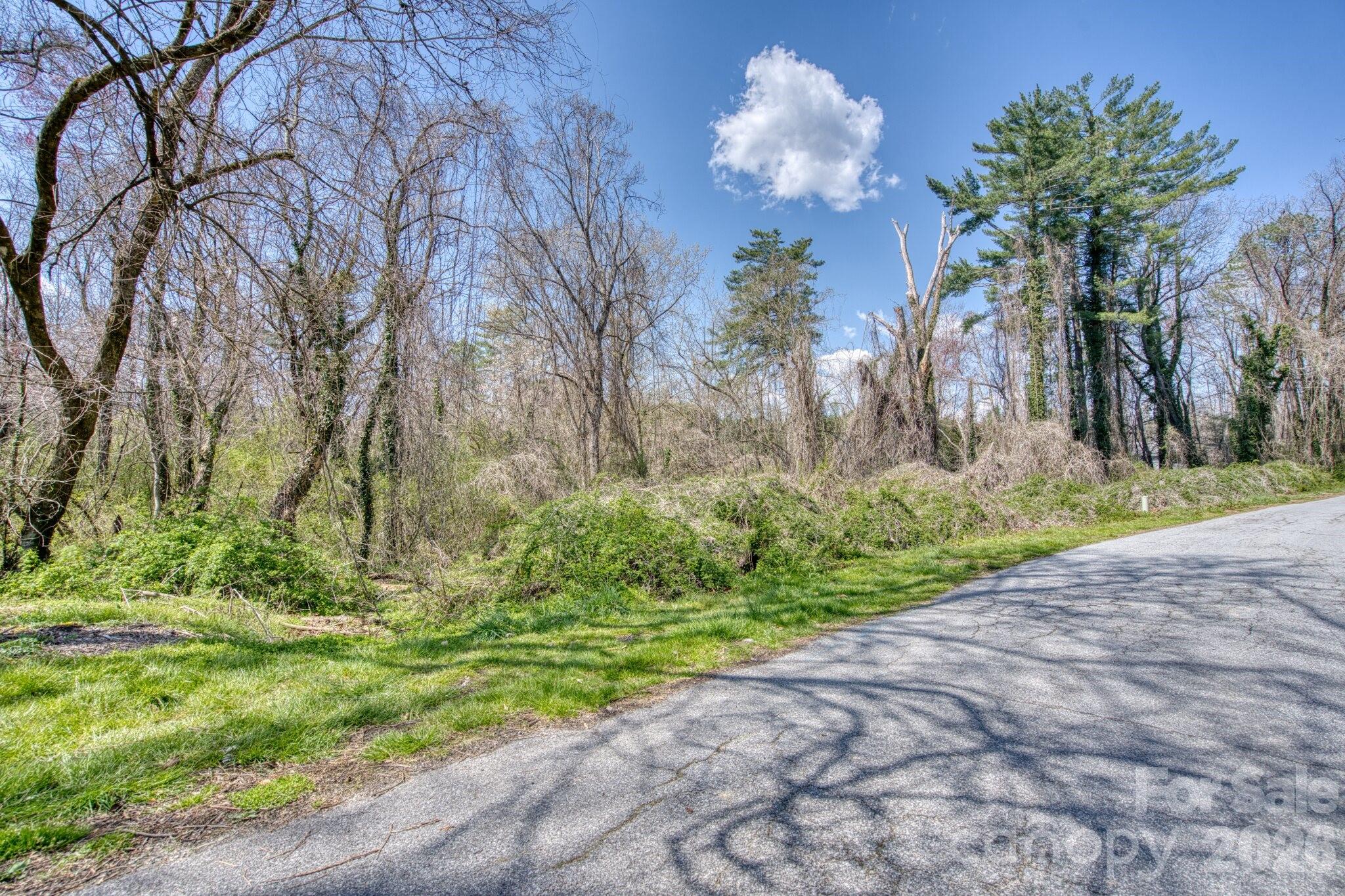 Tbd Toms Hill Drive Hendersonville NC 28792
