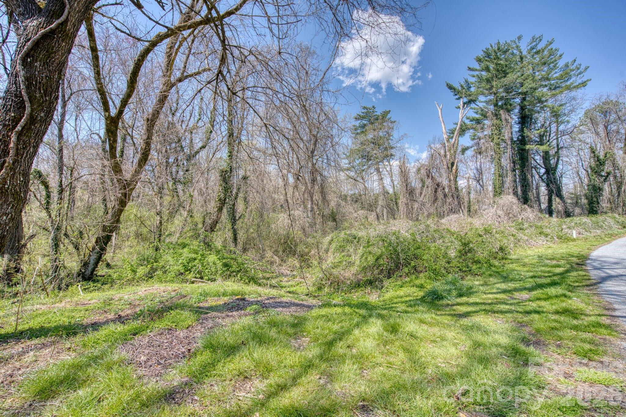 Tbd Toms Hill Drive Hendersonville NC 28792
