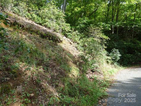 000 Ridgeway Street Sylva NC 28779