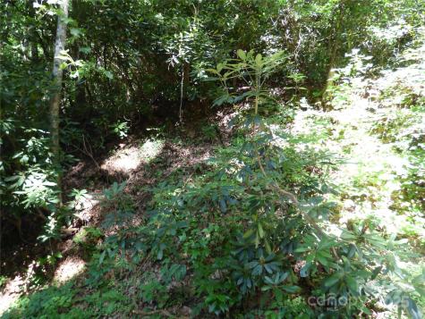 000 Ridgeway Street Sylva NC 28779