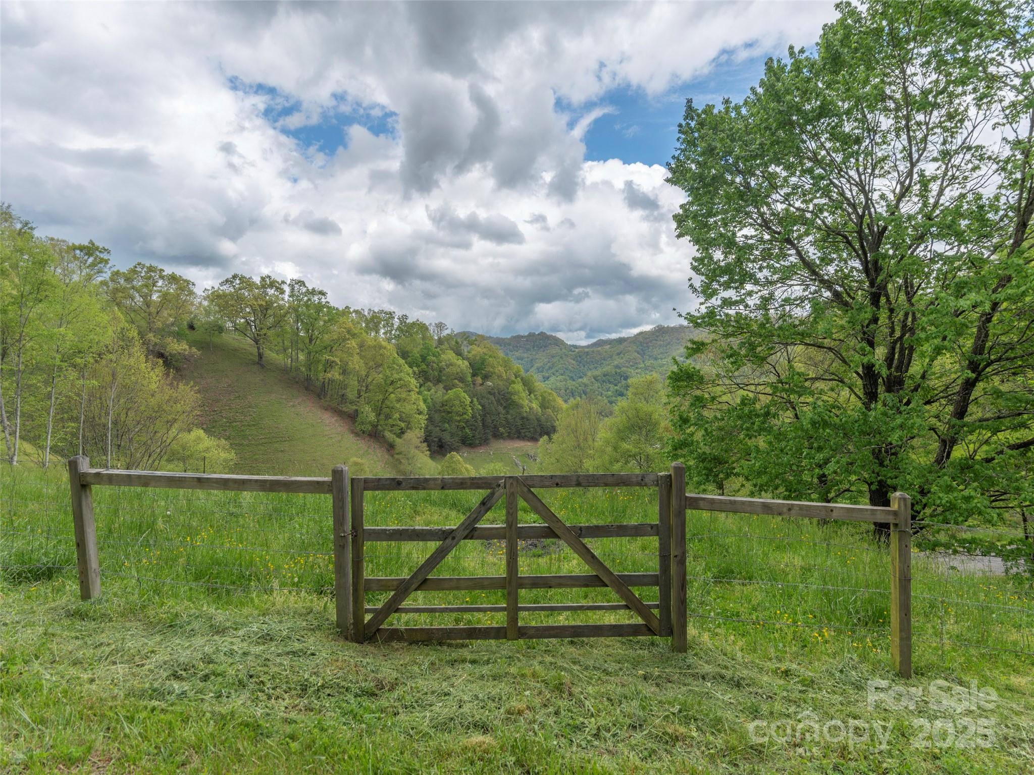 00 Quest Cove Clyde NC 28721