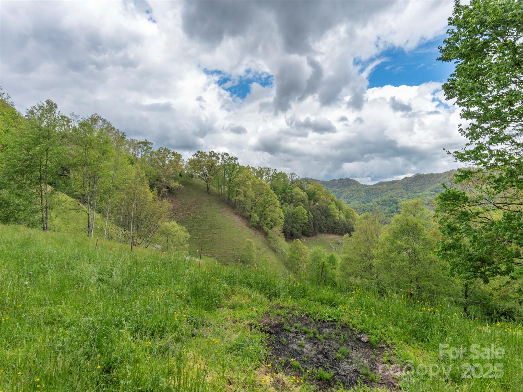 00 Quest Cove Clyde NC 28721