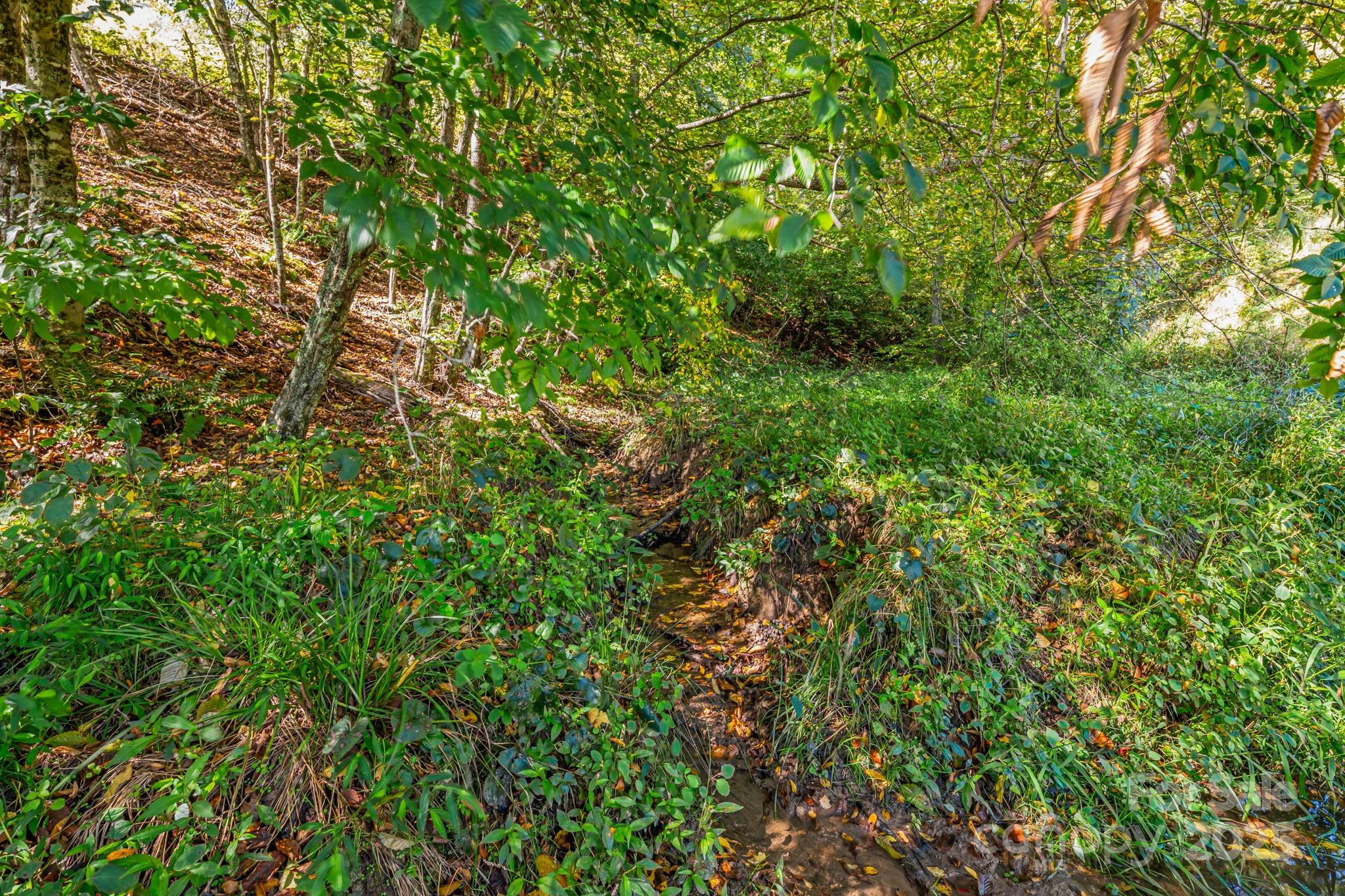 000 Maney Branch Road Burnsville NC 28714