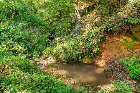 000 Maney Branch Road Burnsville NC 28714