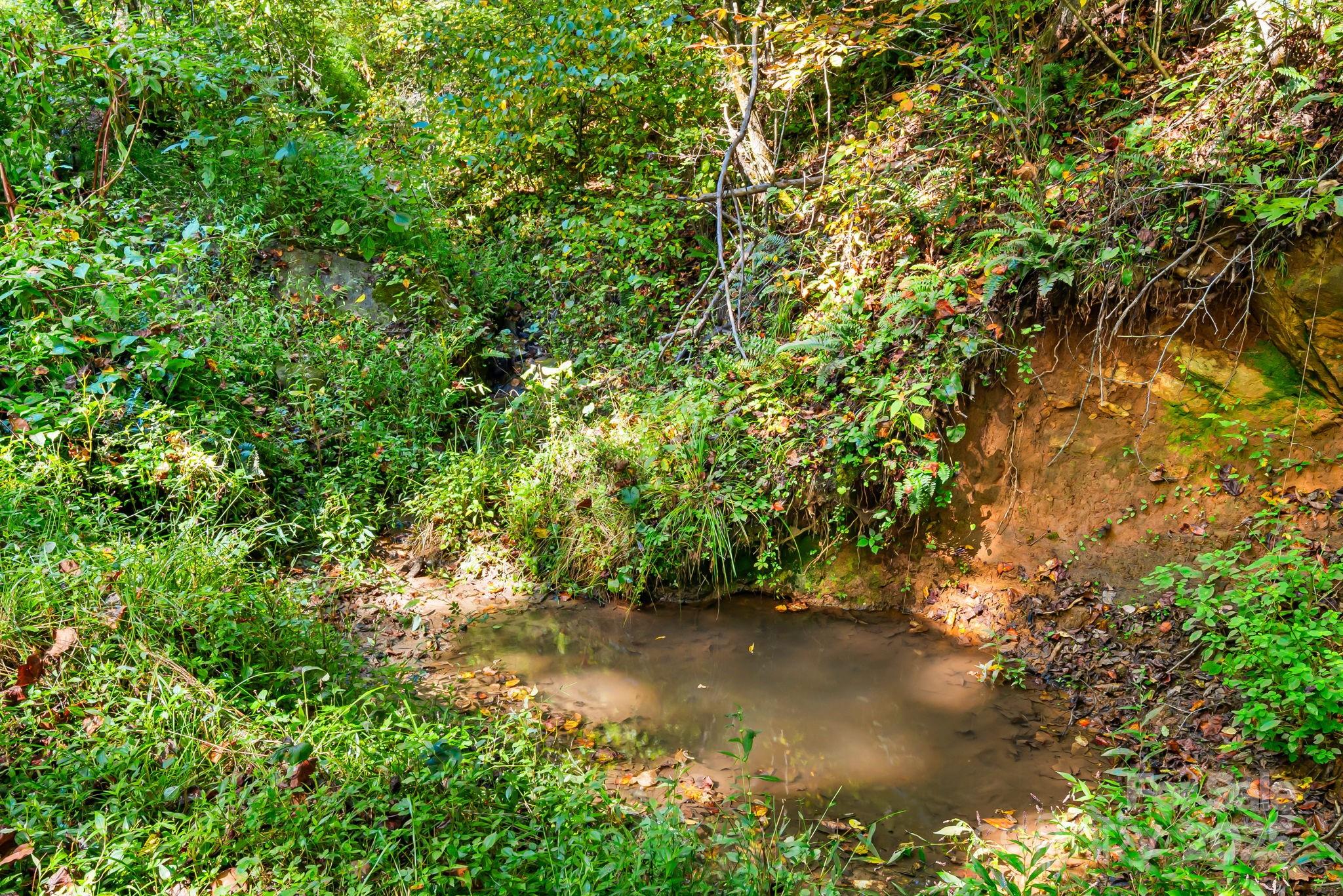 000 Maney Branch Road Burnsville NC 28714