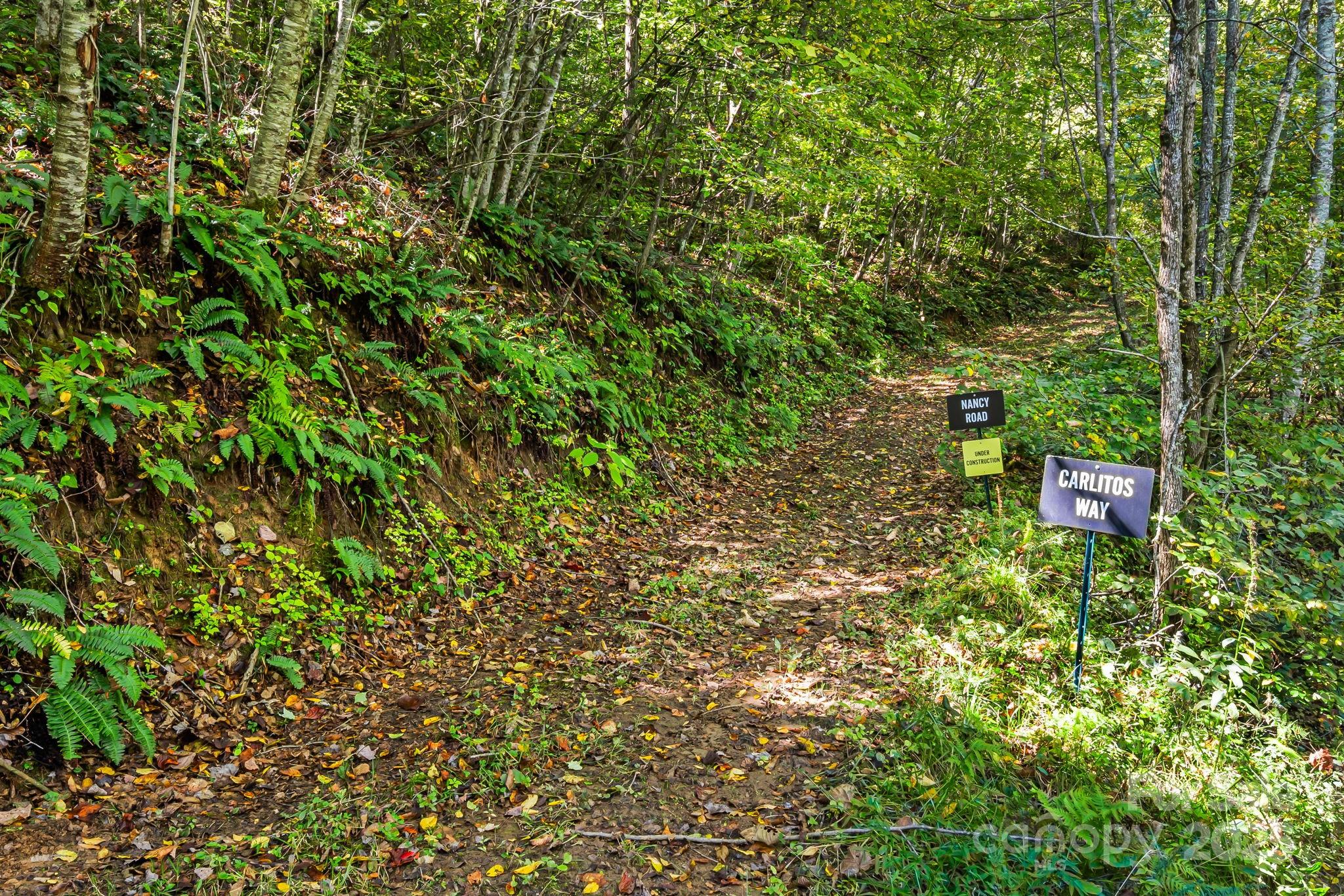 000 Maney Branch Road Burnsville NC 28714