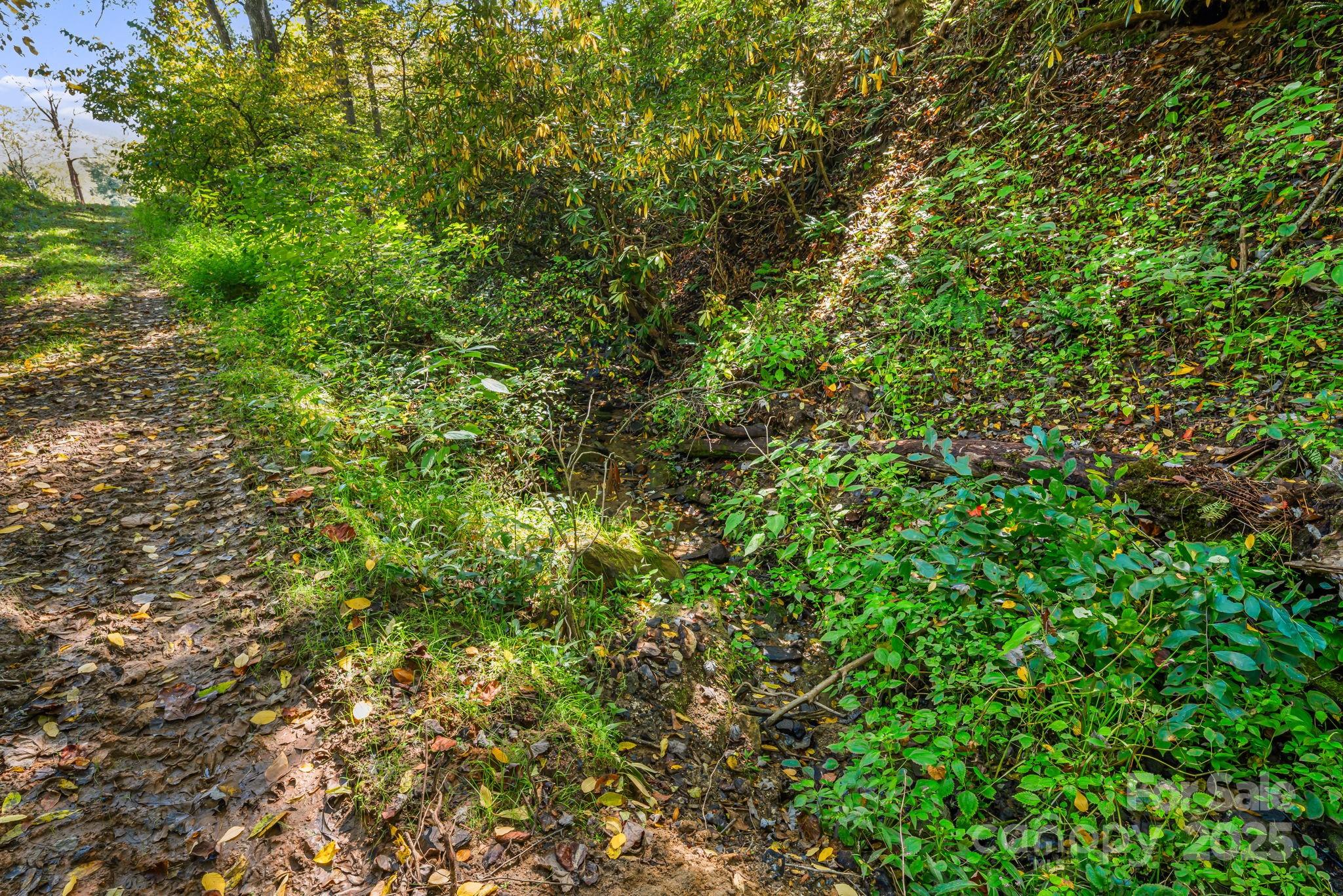 000 Maney Branch Road Burnsville NC 28714