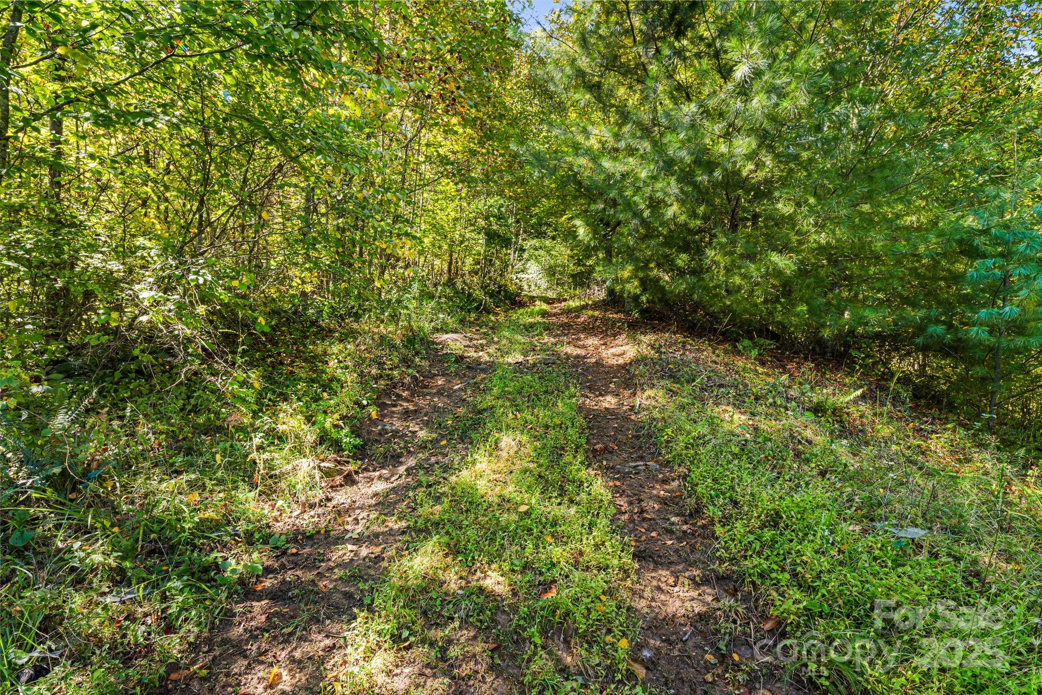 000 Maney Branch Road Burnsville NC 28714
