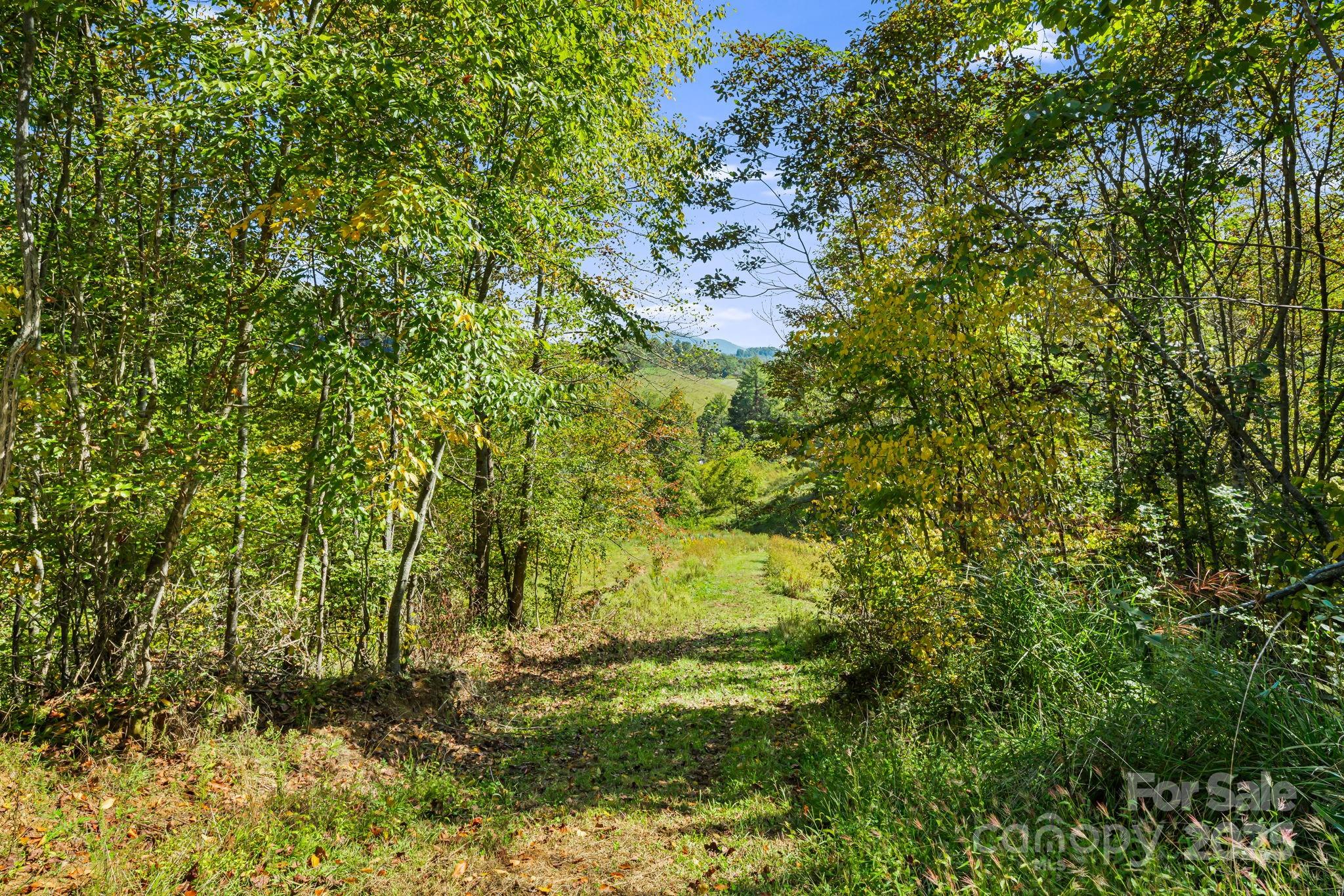 000 Maney Branch Road Burnsville NC 28714