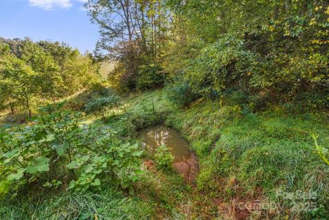 000 Maney Branch Road Burnsville NC 28714