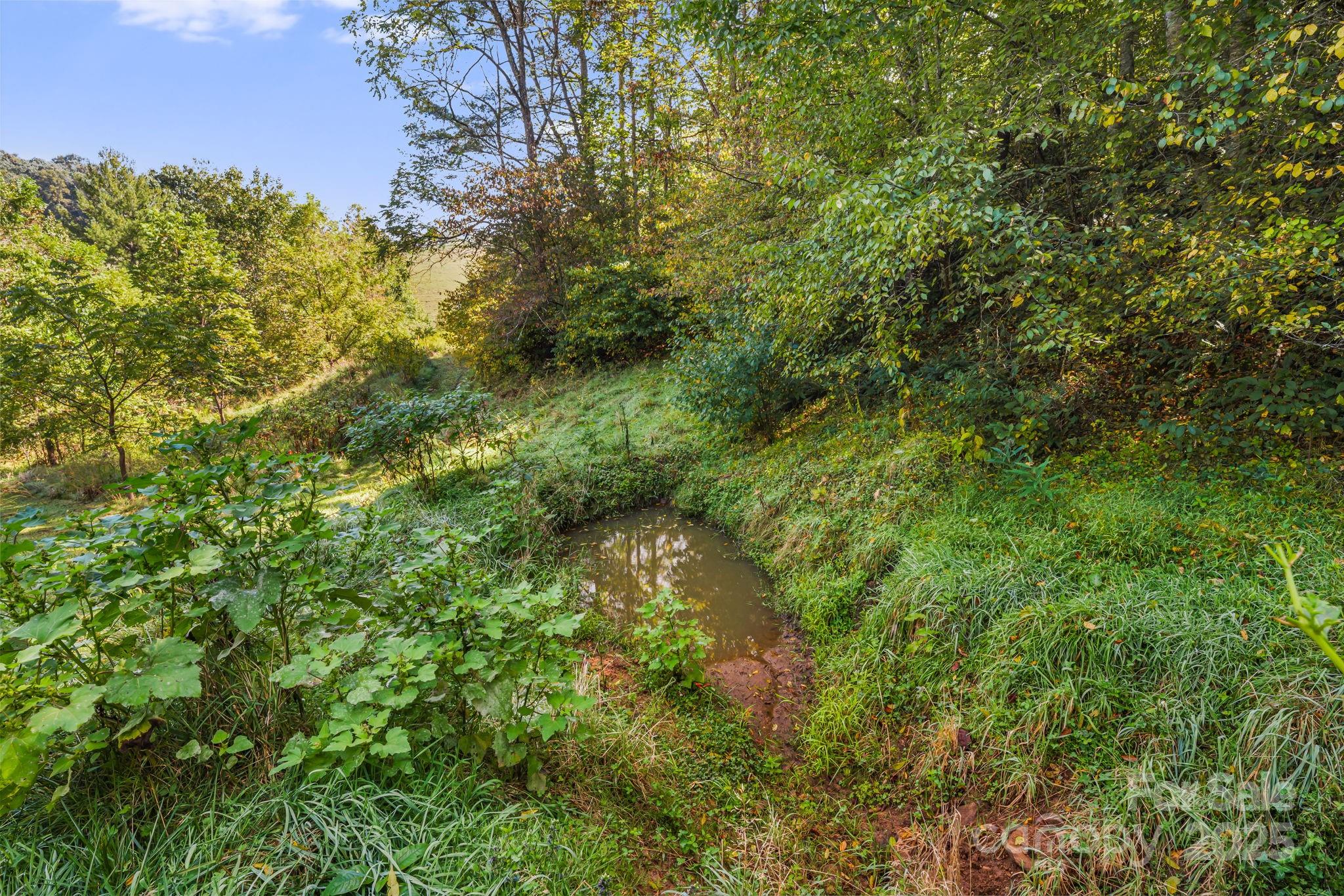 000 Maney Branch Road Burnsville NC 28714