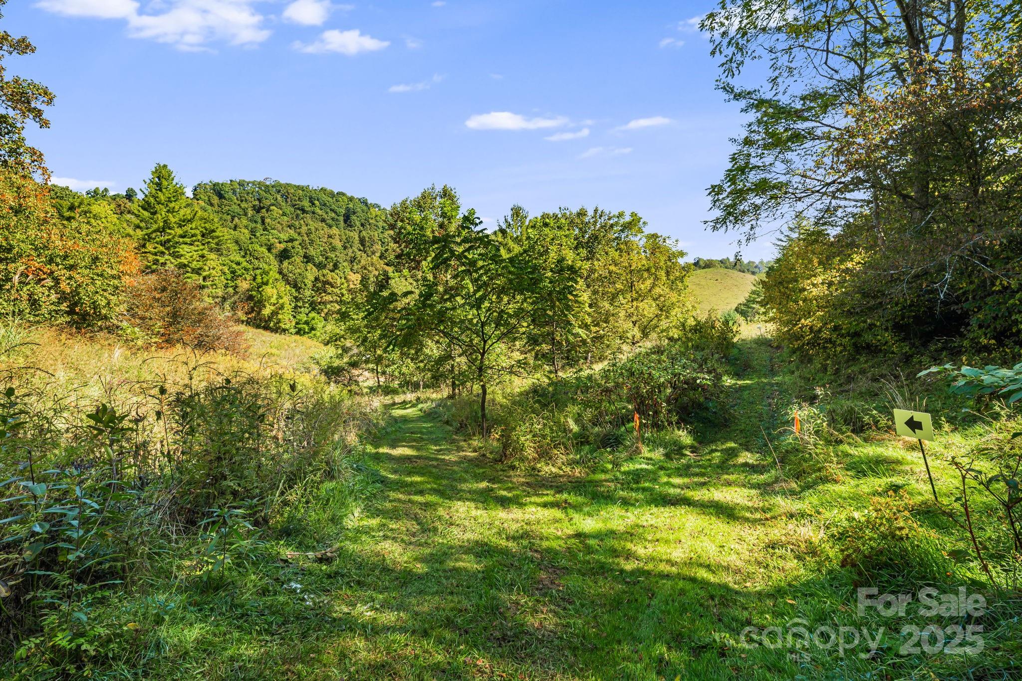 000 Maney Branch Road Burnsville NC 28714