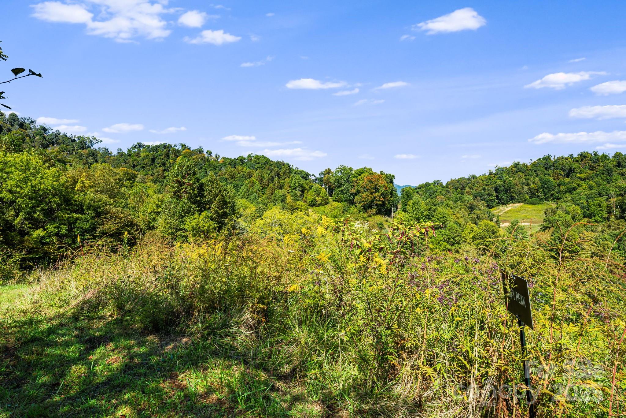 000 Maney Branch Road Burnsville NC 28714