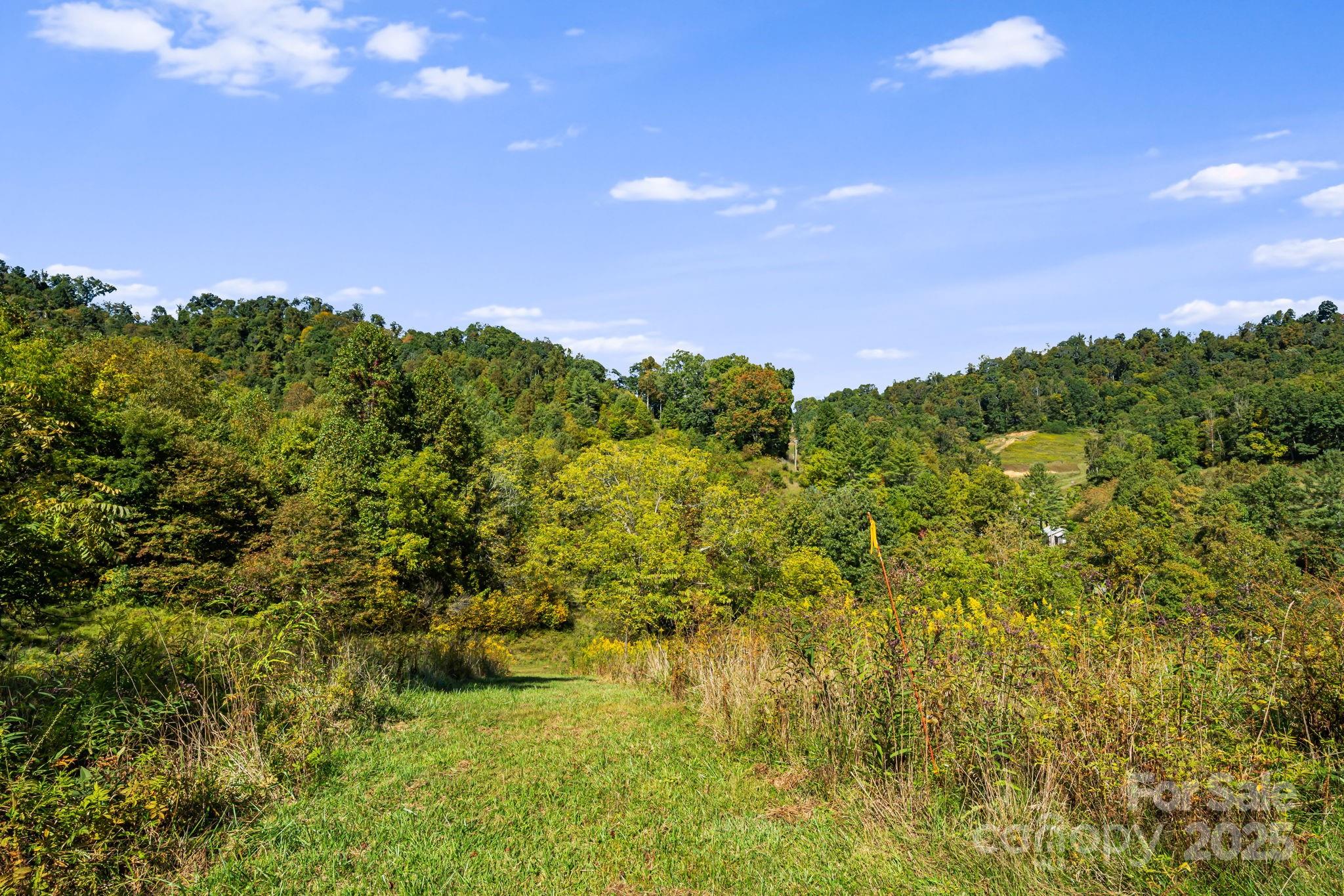000 Maney Branch Road Burnsville NC 28714