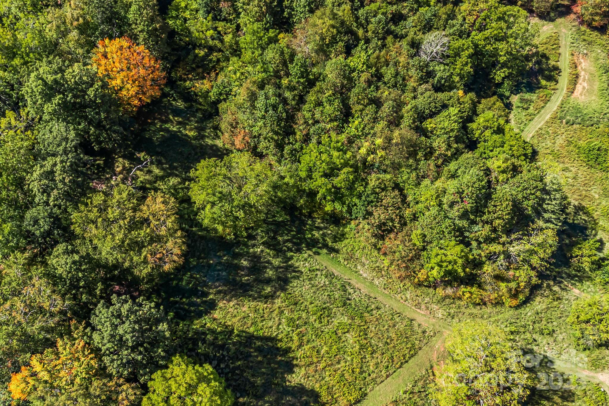 000 Maney Branch Road Burnsville NC 28714