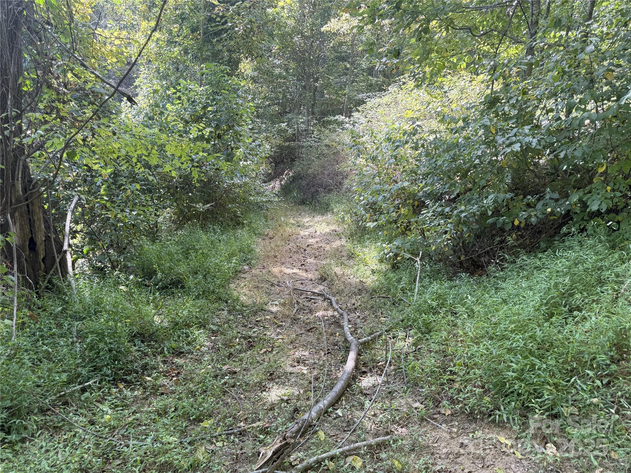 000 Maney Branch Road Burnsville NC 28714