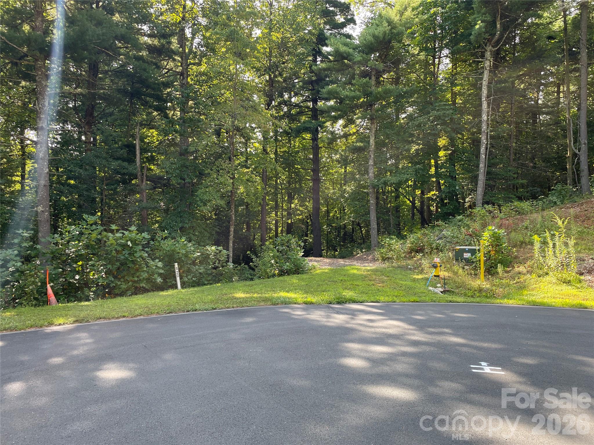Lot 20 Haverhill Court Flat Rock NC 28731