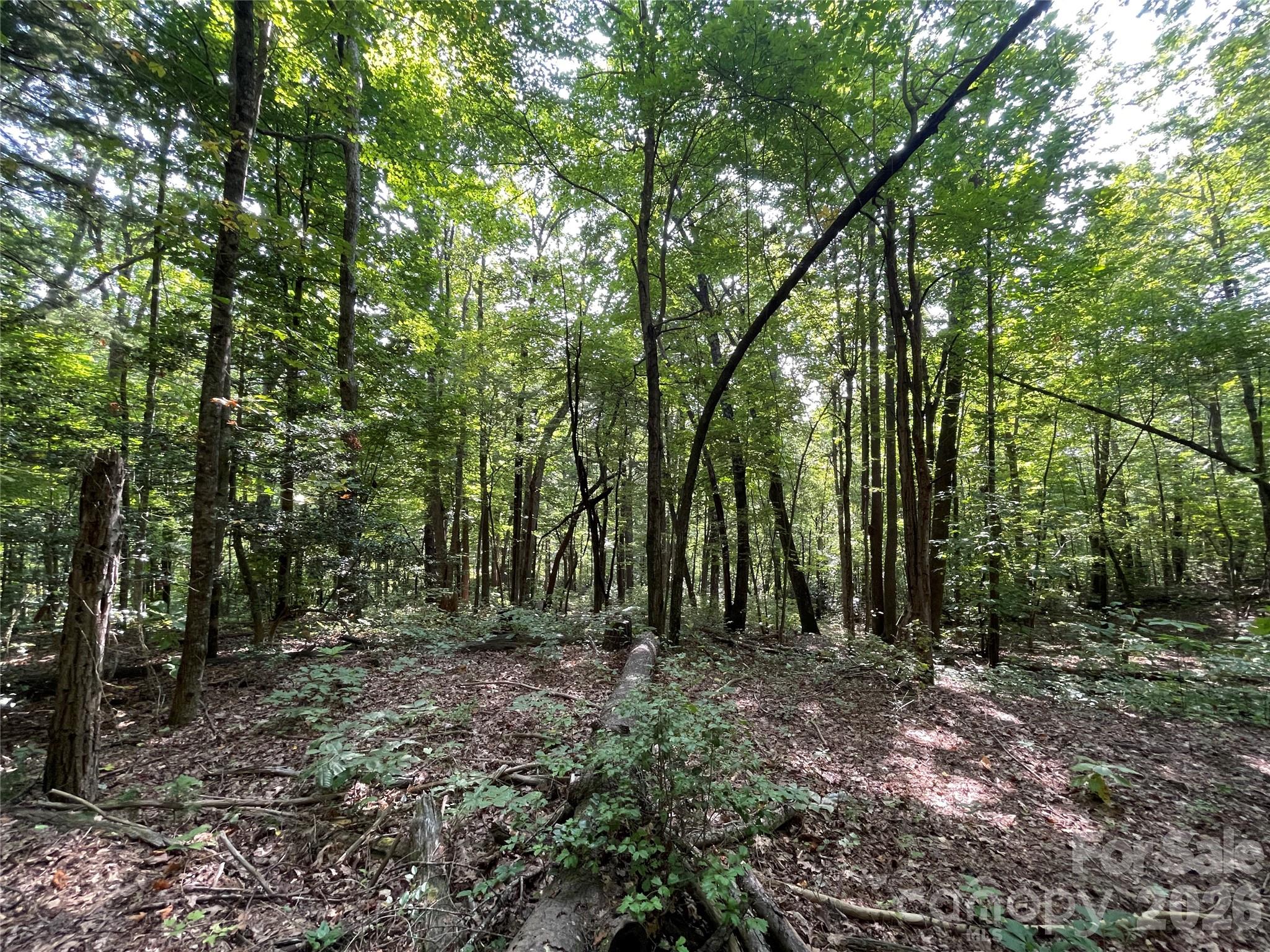 Lot 20 Haverhill Court Flat Rock NC 28731