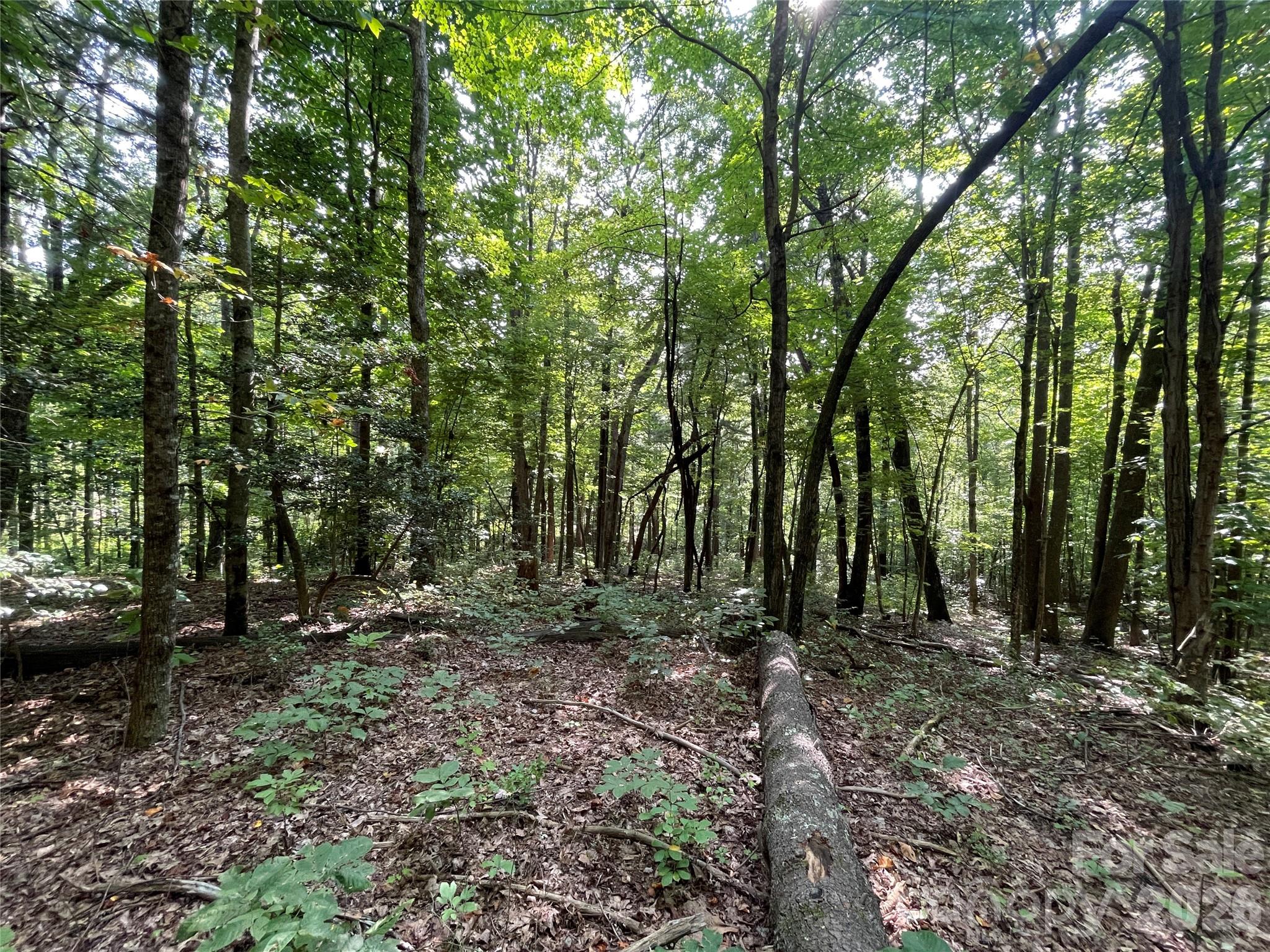 Lot 20 Haverhill Court Flat Rock NC 28731